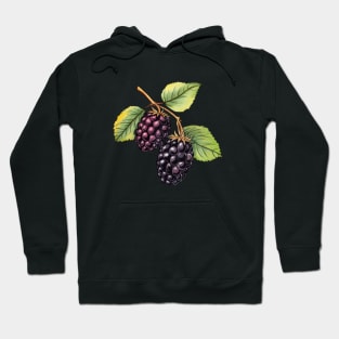 Double Blackberry Illustration Hoodie